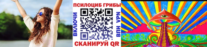 цена Алексеевка Галлюциногенные грибы Psilocybine cubensis
